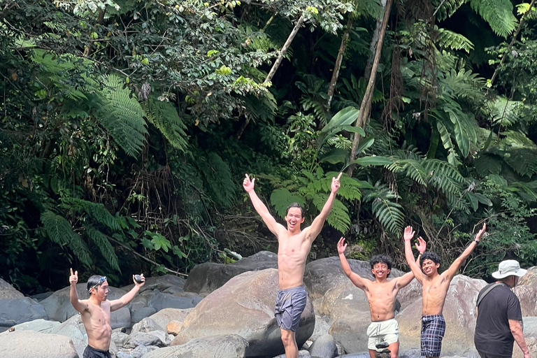 San Juan: El Yunque Regenwaldwanderung &amp; Luquillo BeachSan Juan: Wanderung durch den Regenwald El Yunque &amp; Luquillo Beach