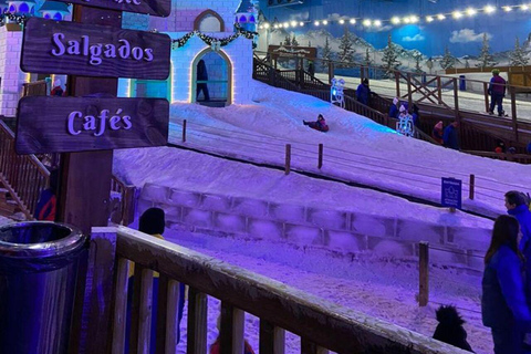 Riyadh Snow City: Inclusive 3-Hour Entry with Gear Provided