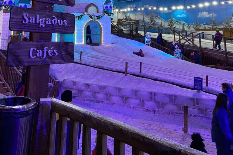 Riyadh Snow City: Inclusive 3-Hour Entry with Gear Provided