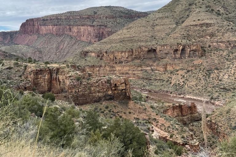 كريسوتيل أريزونا: رحلات على الطرق الوعرة إلى مناظر خلابة لوادي ريجال