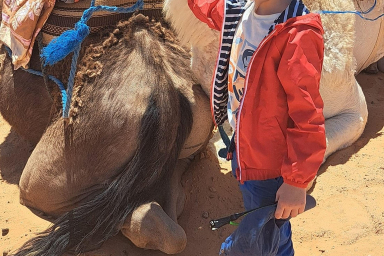 From Djerba: Full-Day 4x4 Sahara Desert Tour to Ksar Ghilane