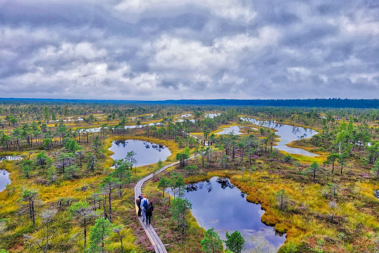 Great Ķemeri Bog & Swamp Forest Hiking Adventure Shared group tour