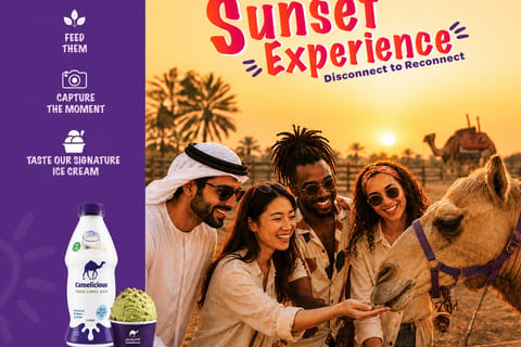 Dubai: Guided Camel Farm Tour and Camel Milk Tasting - Camelicious