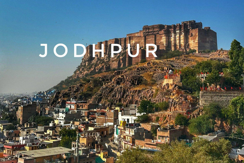 5 dias: Excursão a Udaipur e Jodhpur com acomodação