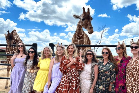 Fredericksburg: Longneck Manor Giraffe & Rhino Encounter