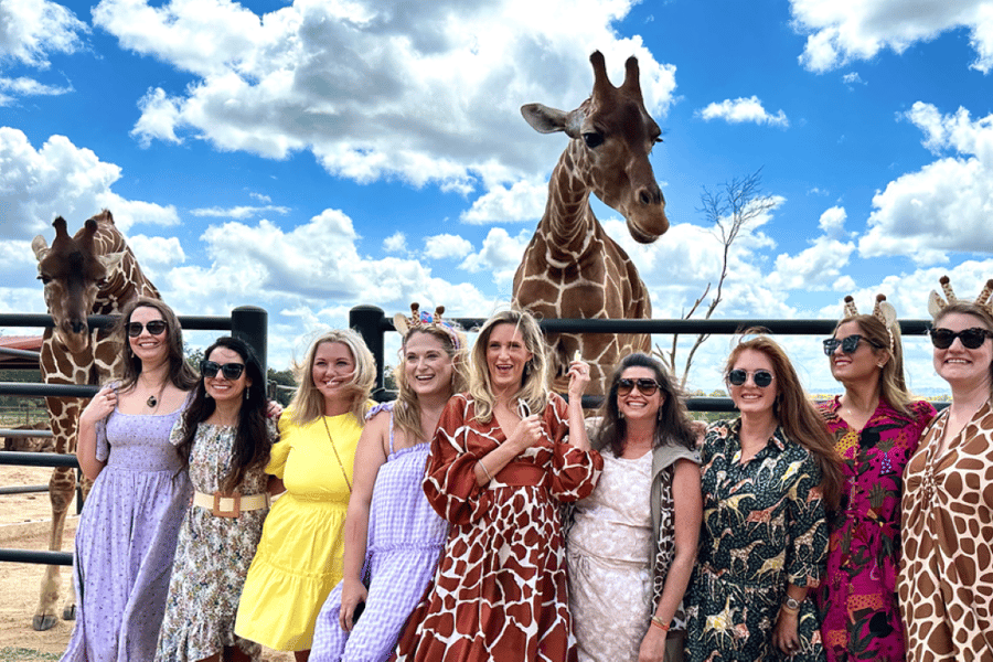 Fredericksburg: Giraffen- und Nashornbegegnung im Longneck Manor. Foto: GetYourGuide