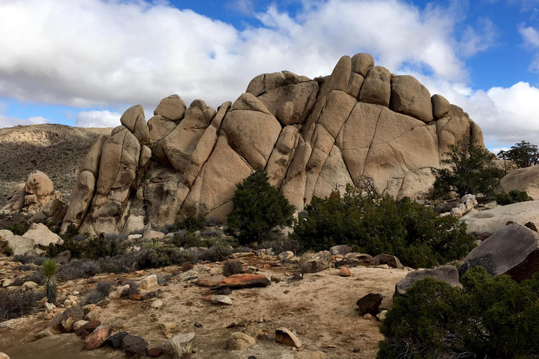 Von San Diego aus: 2-tägige Erkundung und Wanderung in Joshua Tree