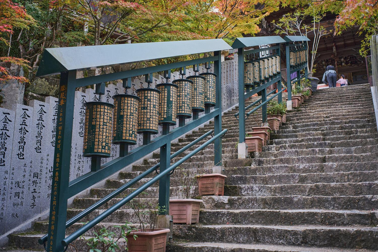 Hiroshima: Miyajima Island UNESCO Site Half Day Guided Tour