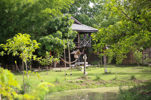 Chiang Mai: Esperienza di coltivazione di bufali e riso thailandeseChiang Mai: Esperienza di piantagione di riso e bufali thailandesi