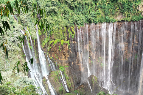 Yogyakarta : Bromo + wodospad Tumpak sewu + góra ijen