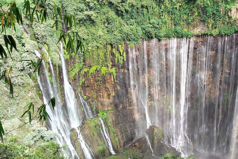 Yogyakarta : Bromo + wodospad Tumpak sewu + góra ijen