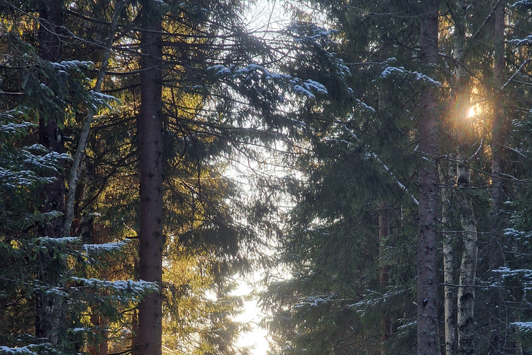 Panoramagipfel – Oslos beste Wanderung mit Blick auf die FjordePanoramische Gipfel – Oslos beste Wanderung mit Fjordblick