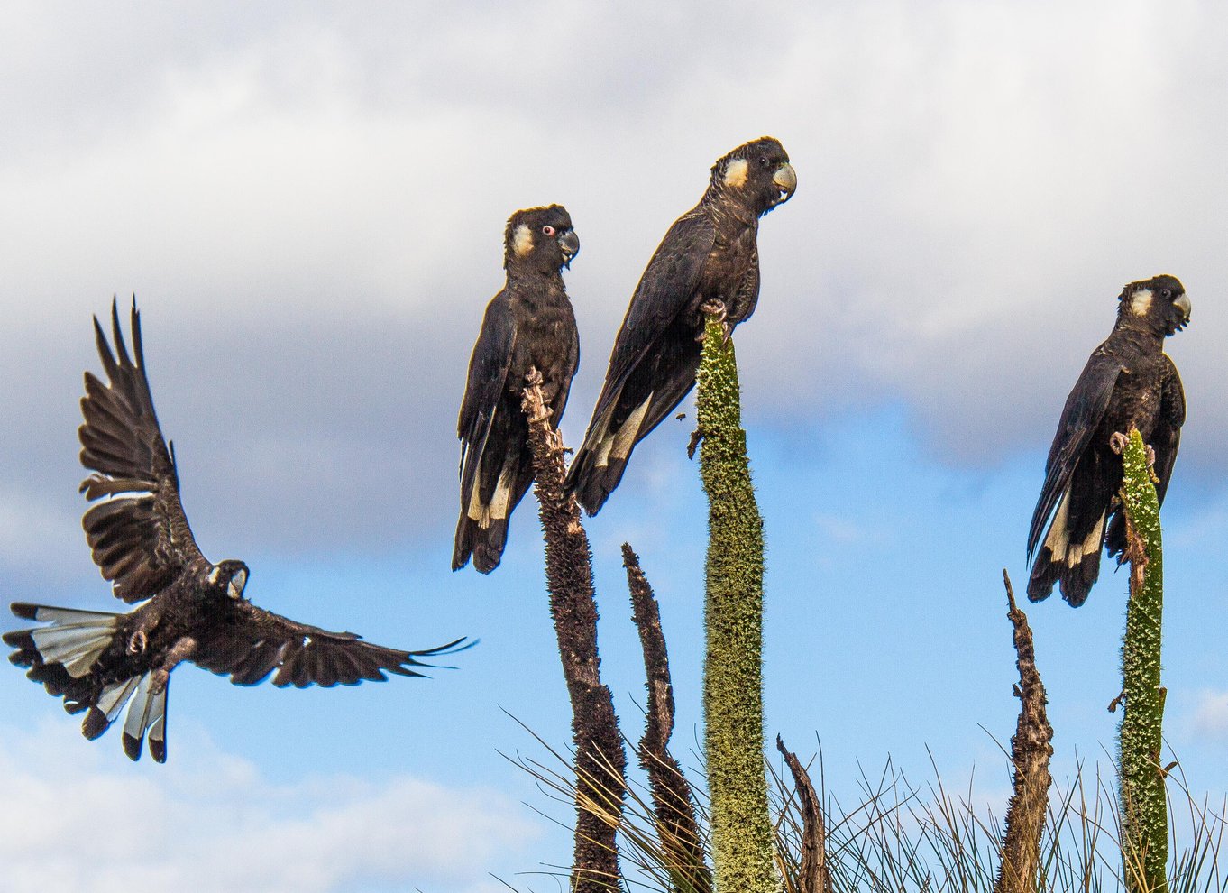 Margaret River: Guidet kano- og 4x4-tur med frokost og vin