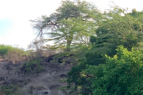 From Nairobi: Mzima Springs Wildlife Tour