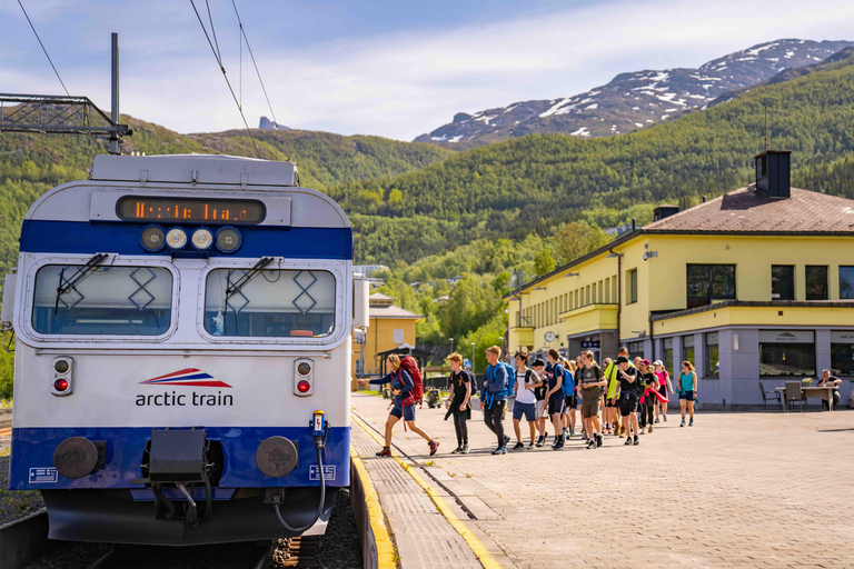 From Narvik: Arctic Train - Ofoten Line