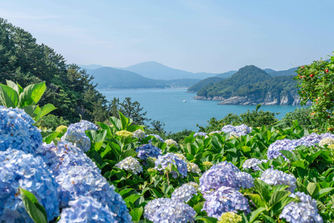 Oedo Island Botania & Geoje Private Day Tour from Busan