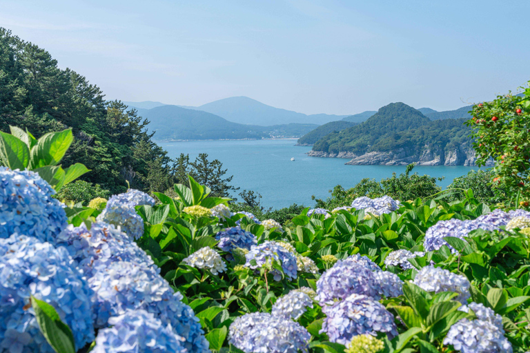 Oedo Island Botania & Geoje Private Day Tour from Busan