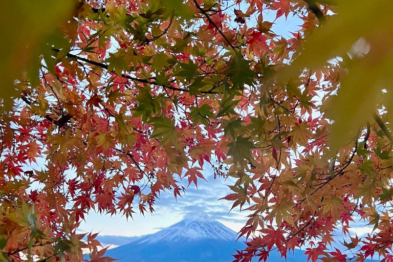 Au départ de Tokyo : visite privée de 14 jours au Japon avec hôtel et repas