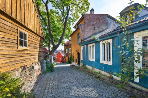 Oslo : Visite guidée des joyaux cachés