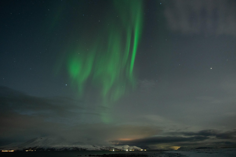 Tromsø: Northern Lights Tour with Local guide & Local Food