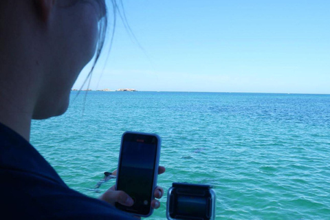 Perth: Rejs z delfinami i dziką przyrodą z lunchem