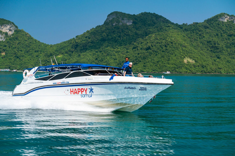 Koh Samui: Pig Island Tour by Speedboat with Snorkeling Private Tour or Cruise Ship Option