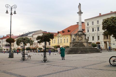 Slovakiska nationalmuseet med Bratislava slott Privat tur