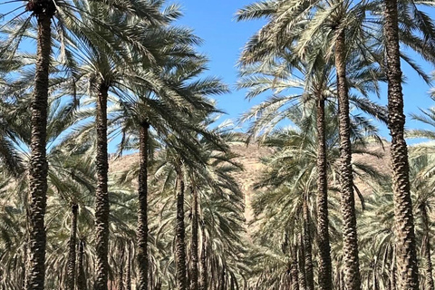 From Muscat: Nizwa & Jabal Akhdar with Multilingual Guide