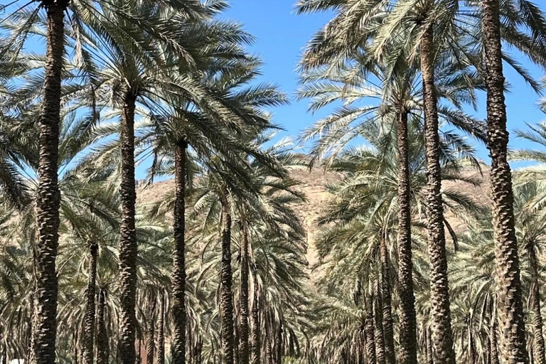 From Muscat: Nizwa & Jabal Akhdar with Multilingual Guide