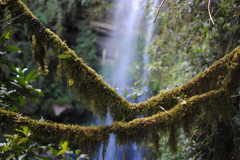 Bogotá: Private Tour to La Chorrera, Colombia’s Highest Fall La Chorrera Private Tour with Tickets, Guide and Transport.