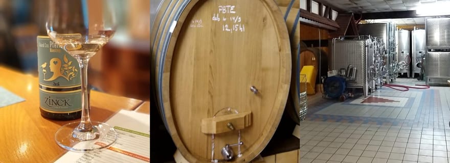 Visite en petit groupe guidée des vins d'Alsace et des villages médiévaux