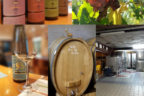 Tour di degustazione dei vini dell&#039;Alsazia