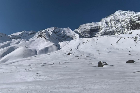 From Pokhara: A 7-Day Trek to the Heart of the Himalayas