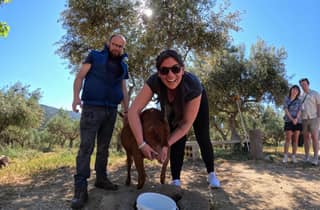 Tour en 4x4 por Creta: visita a una granja, clase de cocina, cerámica y comida