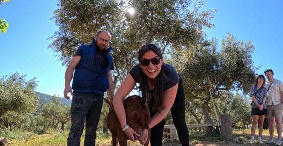 Crete 4x4 Tour: Farm Visit, Cooking Class, Pottery & Lunch