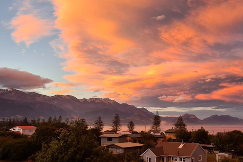 From Christchurch: Kaikōura Day Tour