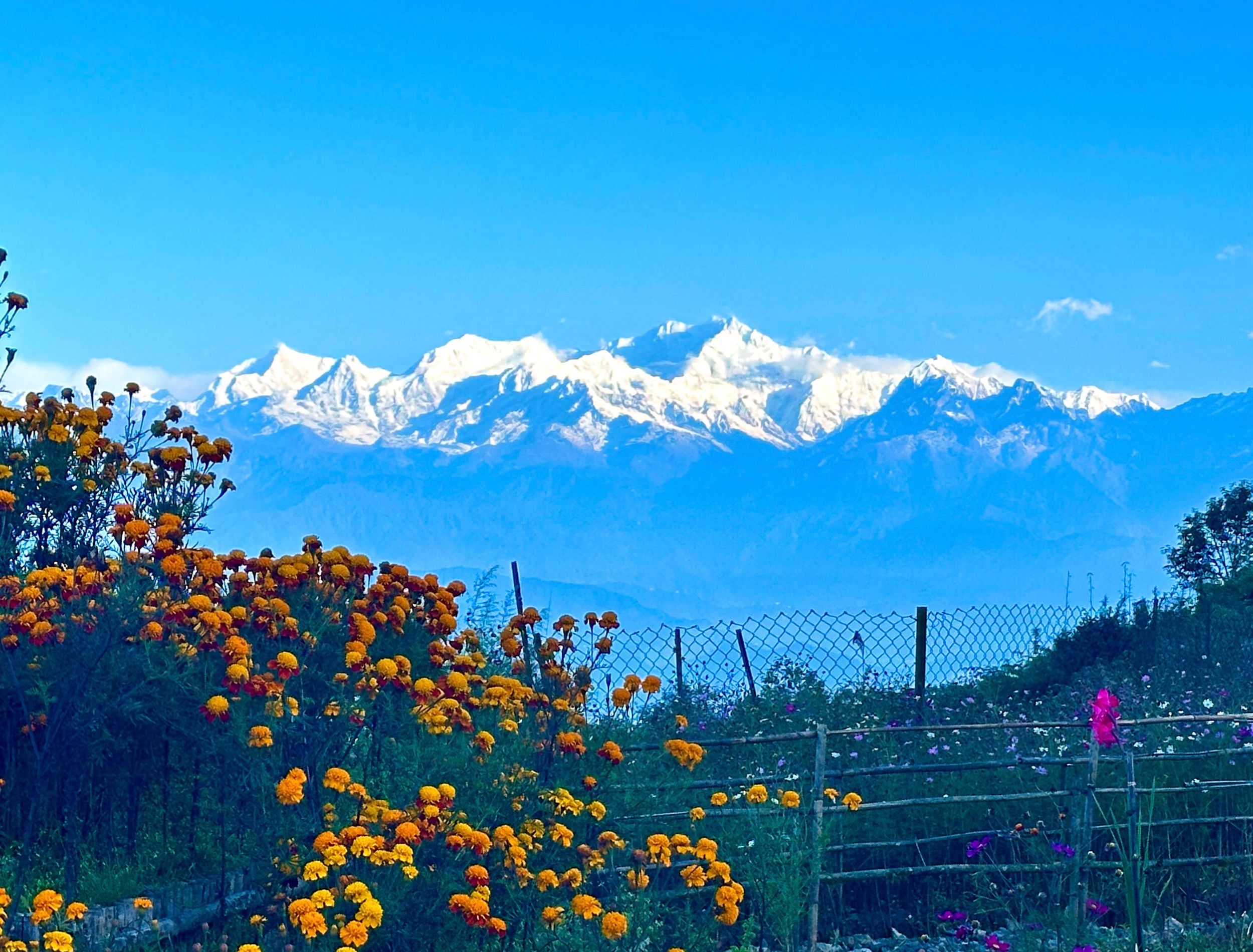 Darjeeling: Sonnenaufgangswanderung zum Tiger Hill – Geführte Tagestour