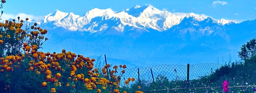 Darjeeling : Tiger Hill Sunrise Hike - Excursion guidée d'une journée