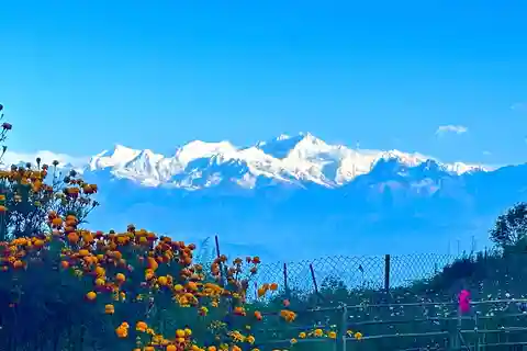 Darjeeling: Tiger Hill Sunrise Hike – Guided Day Trip