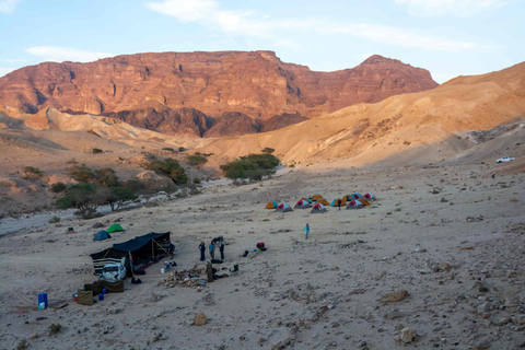 Petra to Wadi Rum Hiking Tour (7 Days) | All-Inclusive