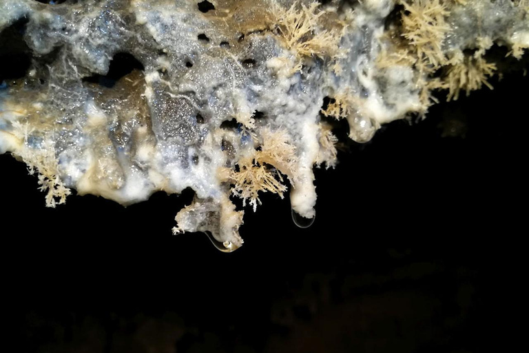 Vulkanische speleologie Cueva de Las Palomas (ES-EN)