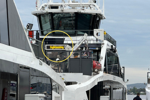 Oslo : Croisière touristique dans le fjord d'Oslo en bateau électrique