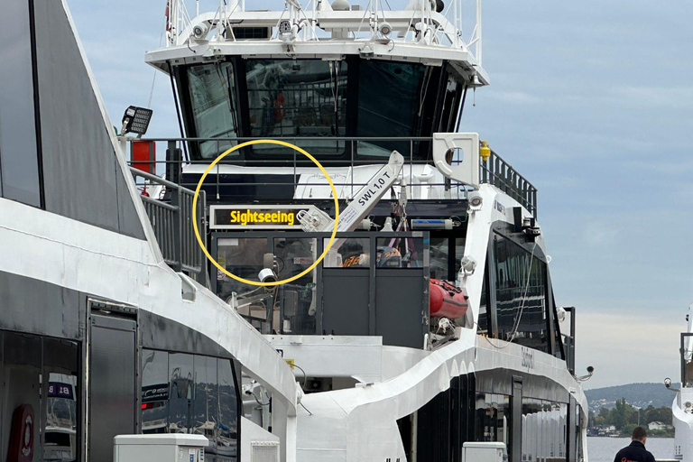 Oslo : Croisière touristique dans le fjord d'Oslo en bateau électrique