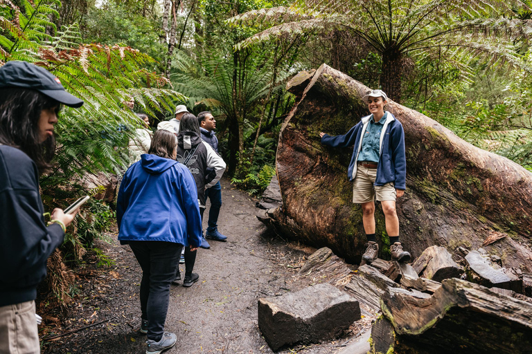 From Melbourne: Great Ocean Road Full-Day Trip