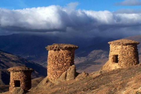 From Cusco: 3-Day Manu National Park Tour with Lodging