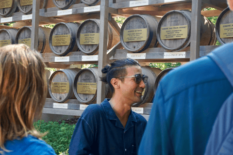 Tokio: wandeltour langs de hoogtepunten van Harajuku en Meiji JinguTijdreizen in Tokio: popcultuur in Harajuku en het Meiji Jingu-heiligdom