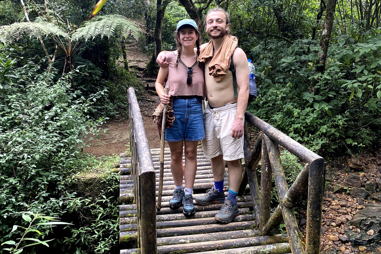 Tedo 7 Waterfalls Peak Adventure – Knuckles Mountain Range