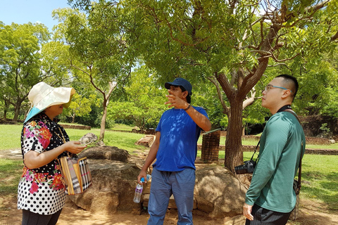 Colombo to Sigiriya: 2-Day Tuk-Tuk Journey Breezy Country