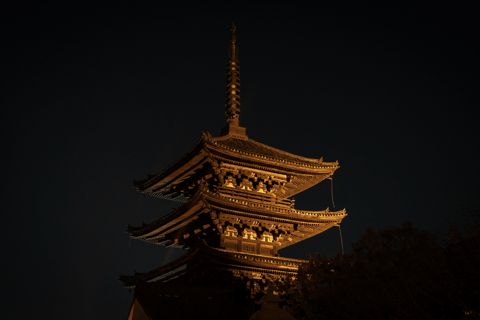 Tokio: Privates Abendessen mit Geisha