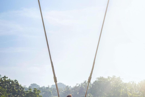 Bali: Visita guiada aos templos, cascatas e terraços de arrozTour de um dia com guia de turismo